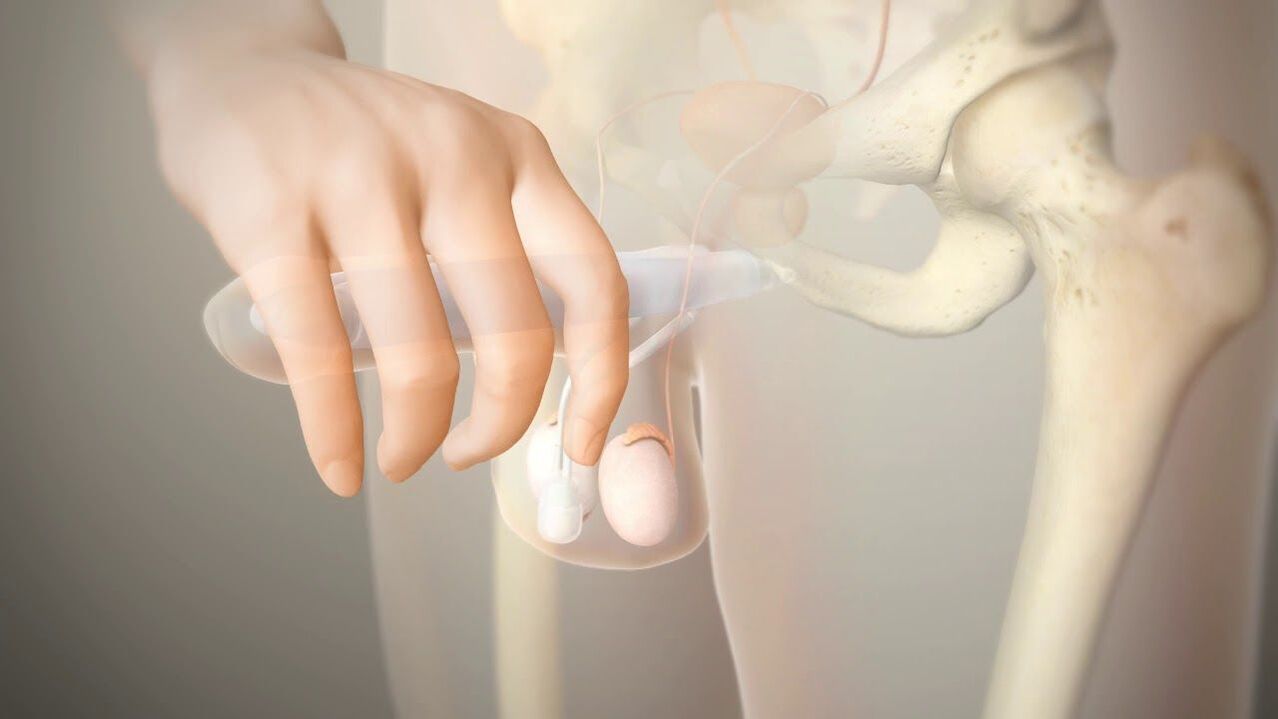 ways to increase penis size