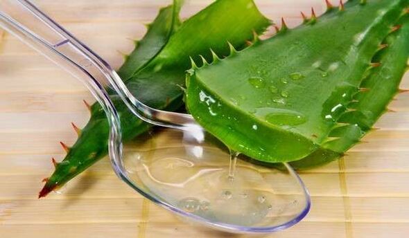 aloe for penis growth